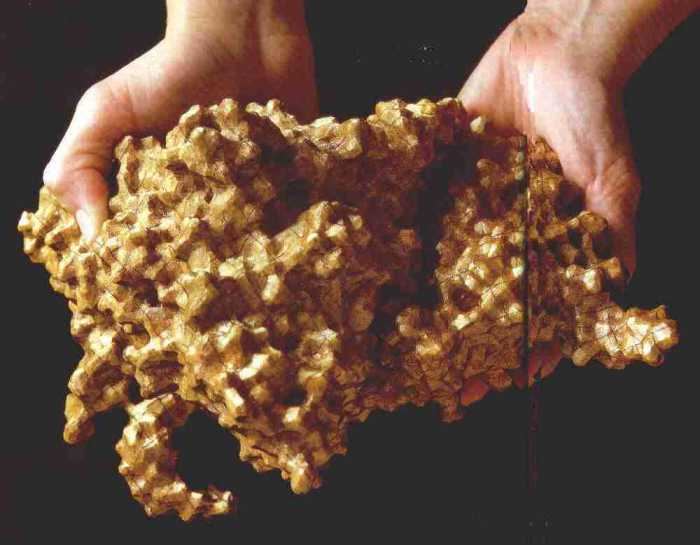 Fabbed model of black beetle virus protein